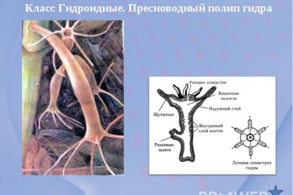 Кракен магазин даркнет