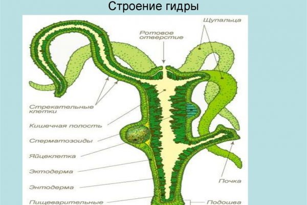 Kraken магазин интернет